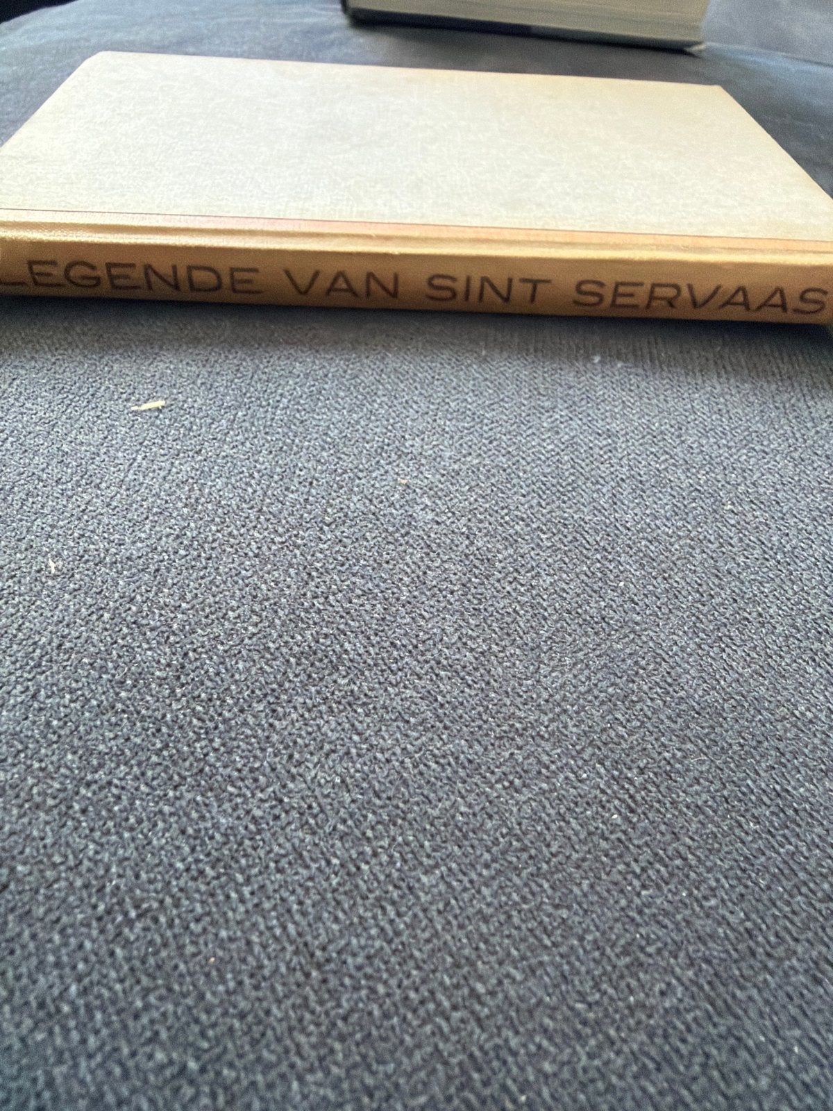 De Legende van Sint Servaas - Historisch Boek, Boeken, Ophalen of Verzenden, Zo goed als nieuw, Christendom | Katholiek
