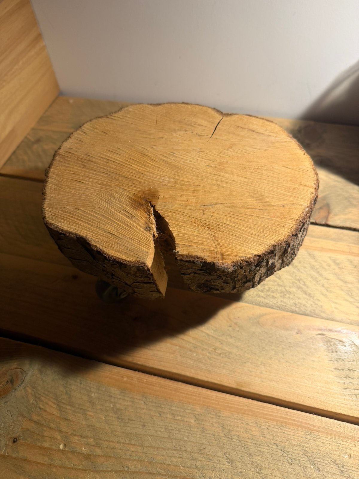 Boomstam met wieltjes woon decoratie boom hout stam, Ophalen of Verzenden, Zo goed als nieuw