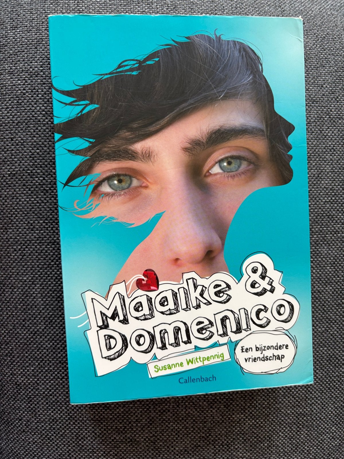 Boeken van Maaike & Domenico, Ophalen, Zo goed als nieuw, Fictie
