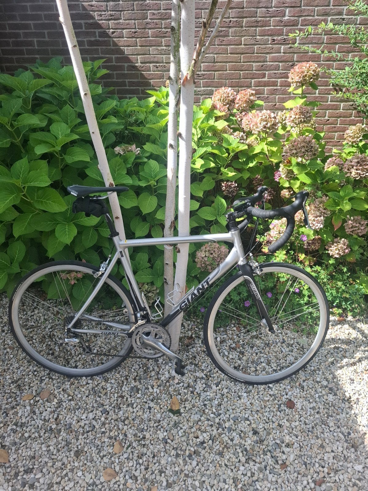 Giant OCR 2.0 racefiets maat L, Ophalen, 28 inch, Gebruikt, Aluminium