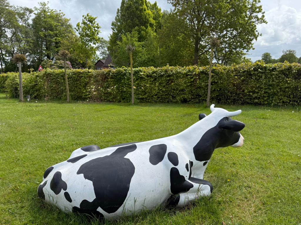 nep koe baukje levenechte decoratie koe beeld, Vrouwelijk