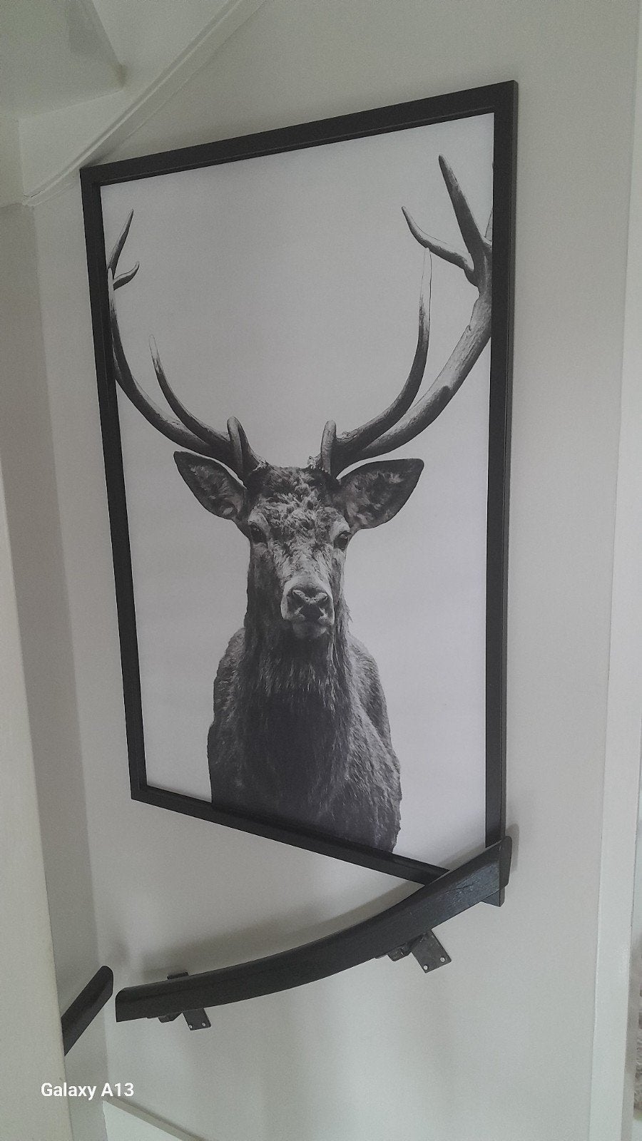 Xl schilderij met groot hert erop., Ophalen, Zo goed als nieuw, 125 cm of meer, Schilderij