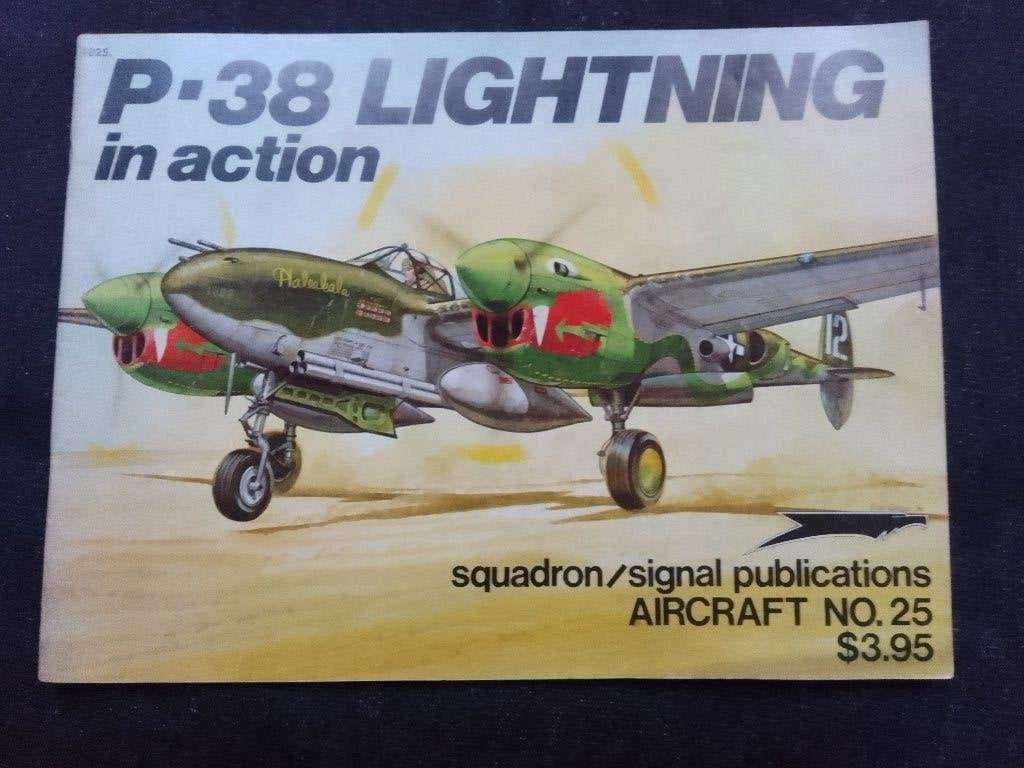 P-38 Lightning in action, Ophalen of Verzenden, Tweede Wereldoorlog, Zo goed als nieuw, Luchtmacht