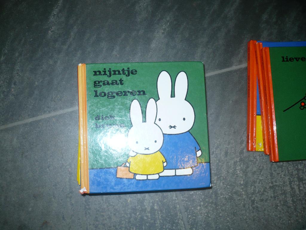 10 nijntje dick bruna voorlees boekjes, Ophalen of Verzenden, Gelezen, Dick Bruna, Fictie algemeen