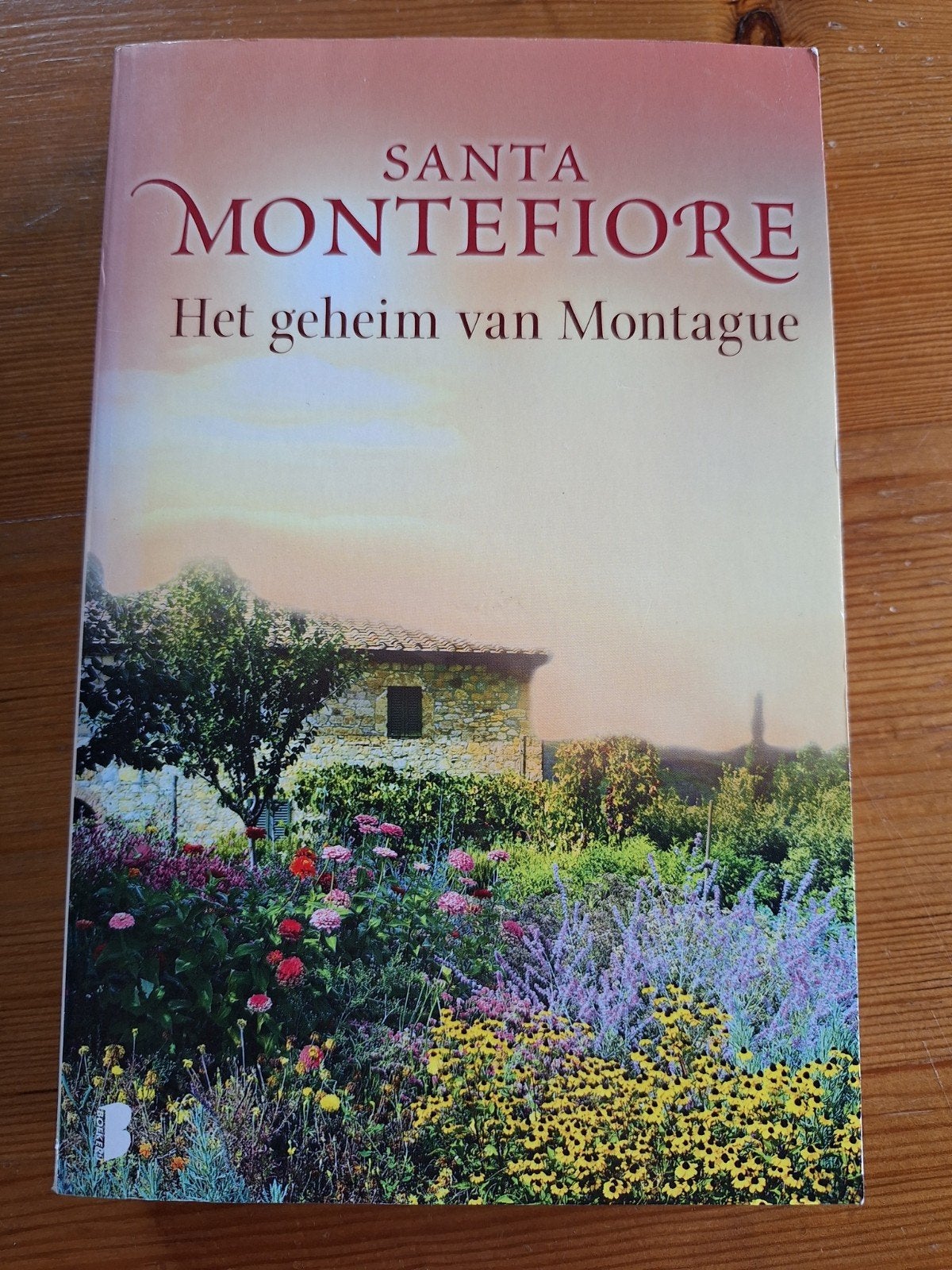 Santa Montefiore - Het geheim van Montague, Ophalen of Verzenden, Nieuw, Santa Montefiore
