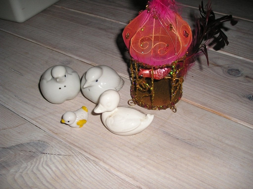 Diverse vogels, Ophalen of Verzenden, Gebruikt, Vogel, Overige typen