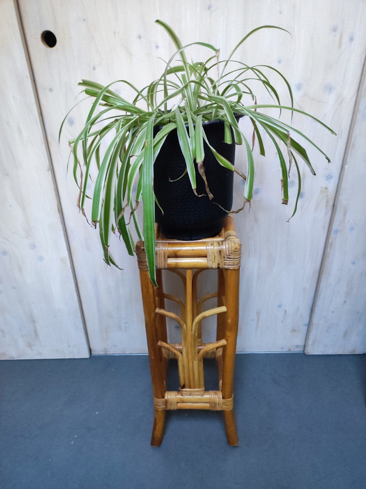 Rotan plantenstandaard / krukje inclusief plant!, Ophalen, Hout