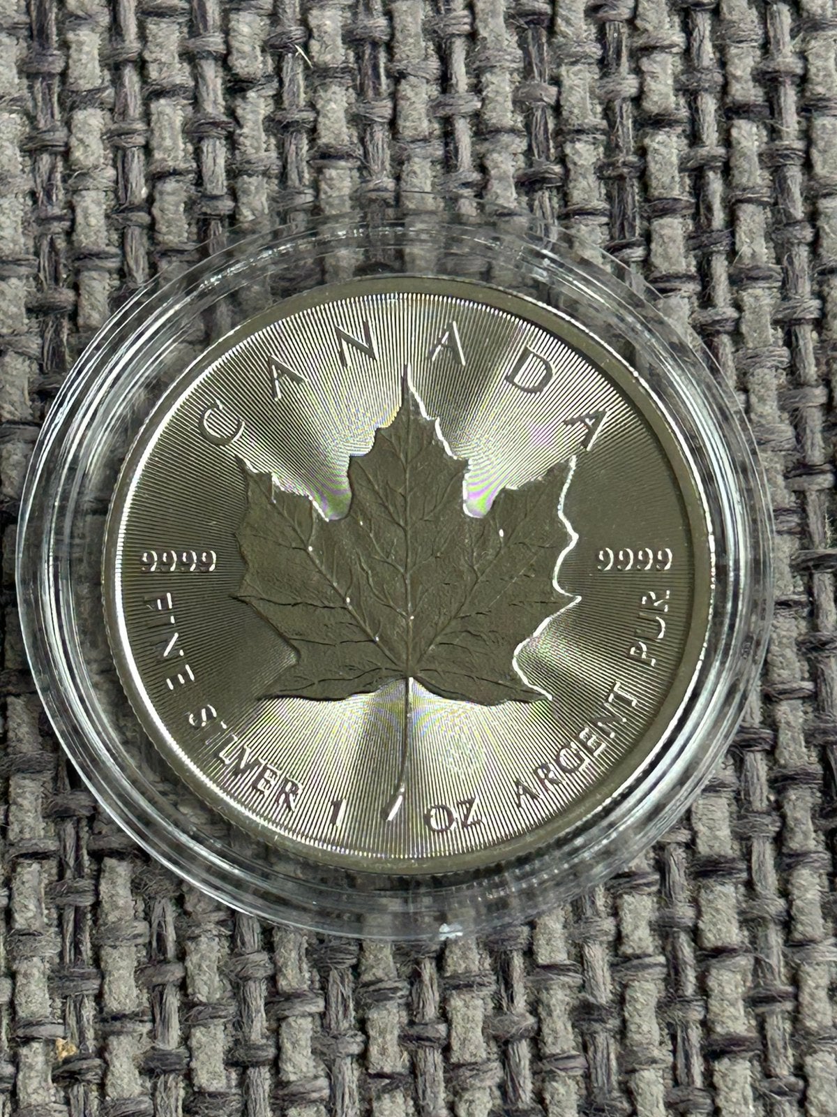 Maple Leaf 2026 in capsule. 999 zilver, Ophalen of Verzenden, Zilver