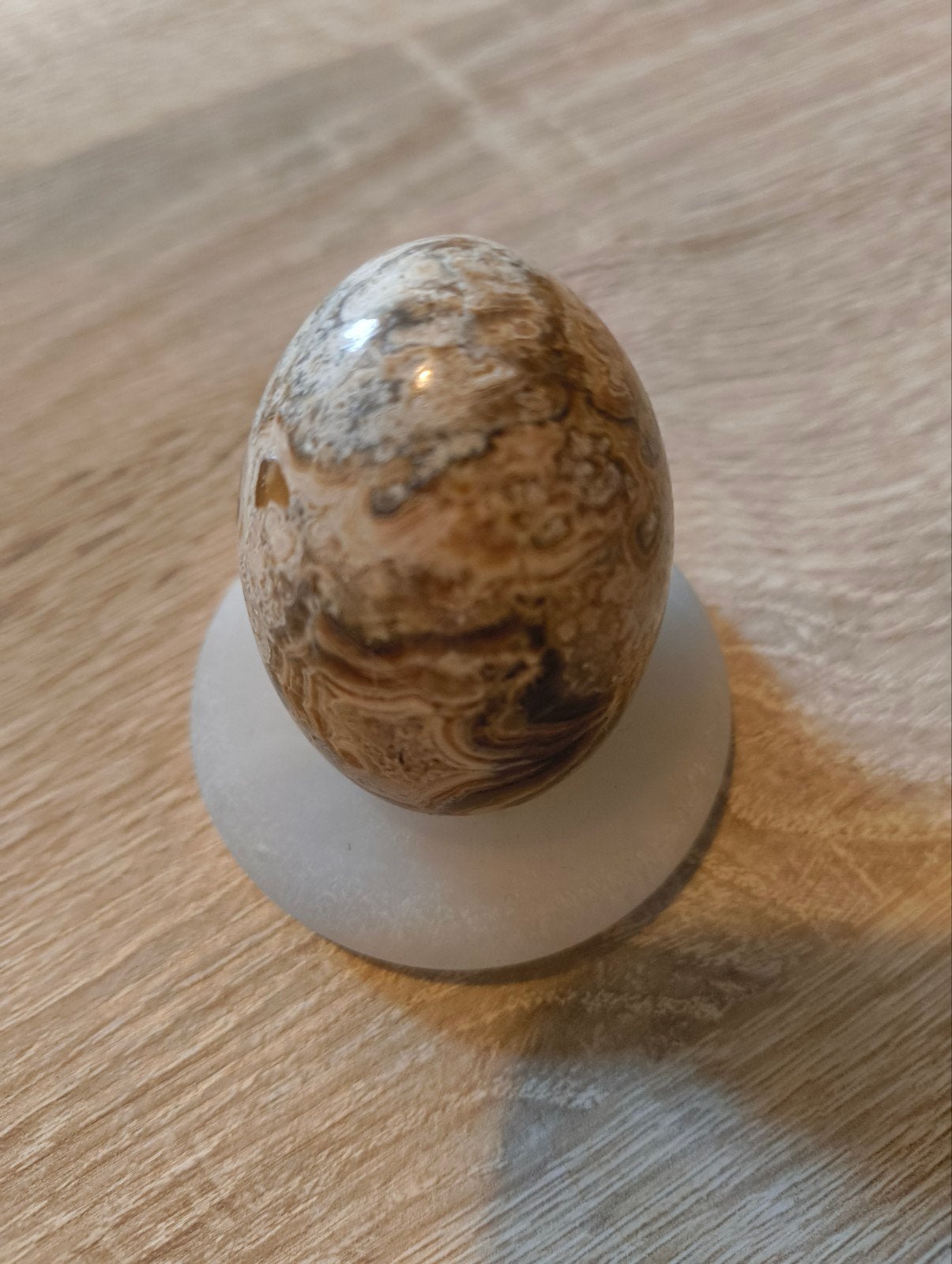 Gepolijst fossielen ei van marmer, Verzamelen, Mineralen en Fossielen, Ophalen of Verzenden, Fossiel