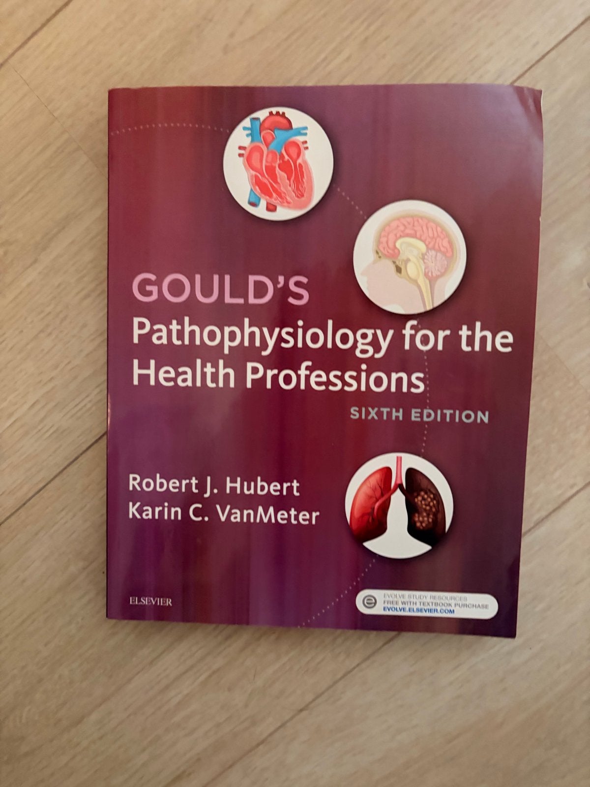 Gould's Pathophysiology for the Health Professions, Ophalen, Beta, Zo goed als nieuw, HBO