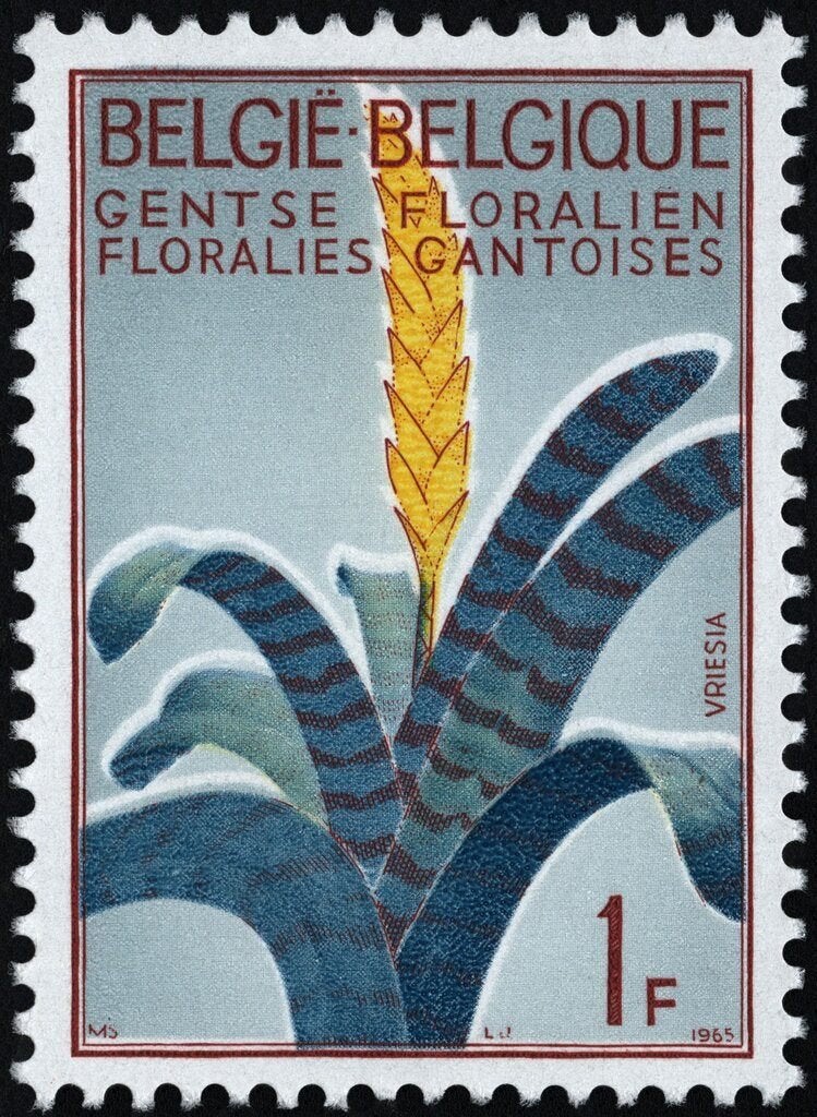 Y&T1315-1317 -uitgiftejaar 1965 Gentse floraliën postfris XX, Orginele gom, Kunst, Ophalen of Verzenden, Zonder stempel