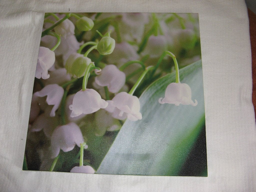 schilderij lelietjes van dalen Groot, Ophalen, 75 tot 100 cm, 75 – 100, Print