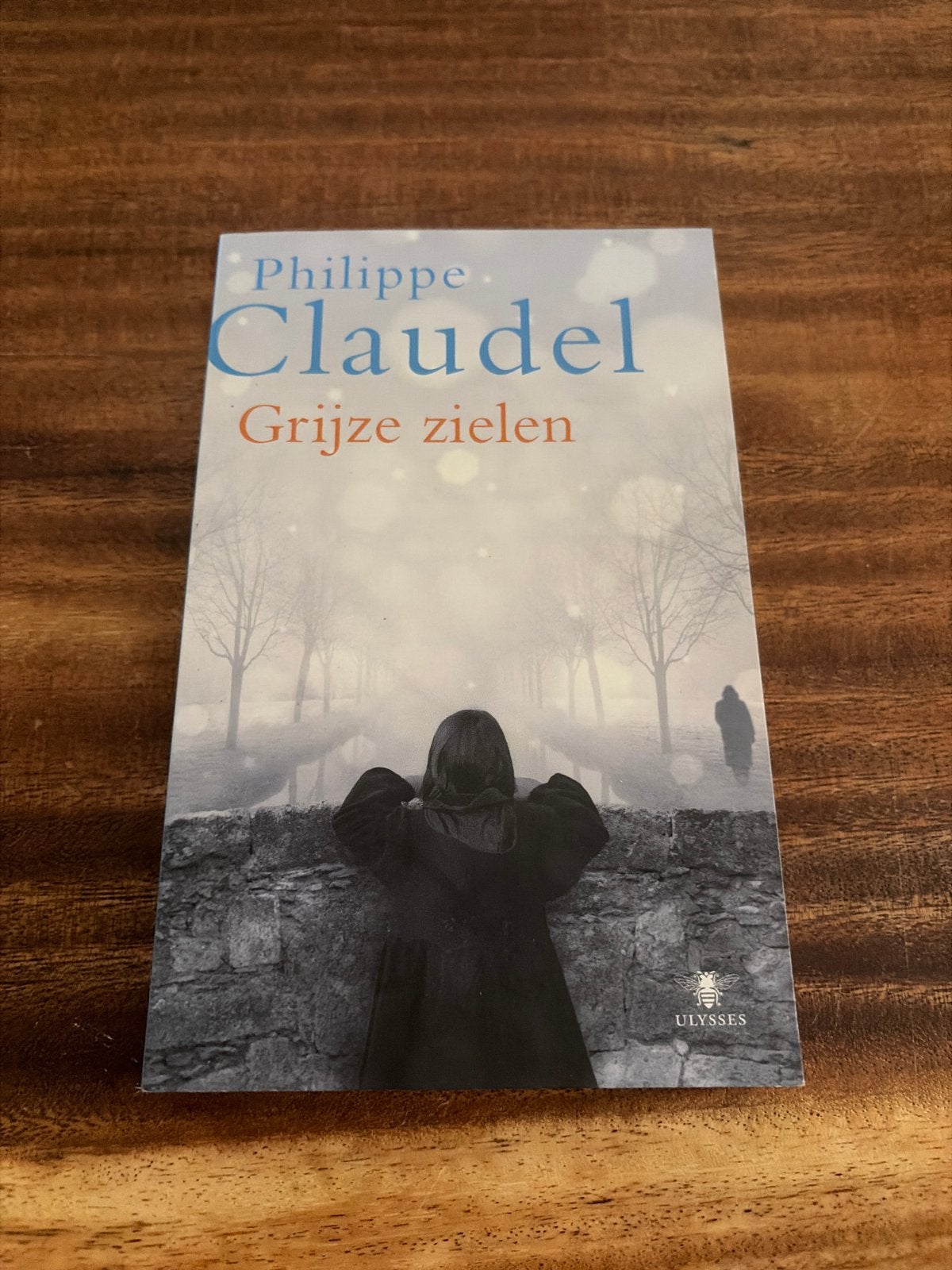 Grijze zielen - Philippe Claudel (boek) - V2, Ophalen of Verzenden, Zo goed als nieuw, Europa overig