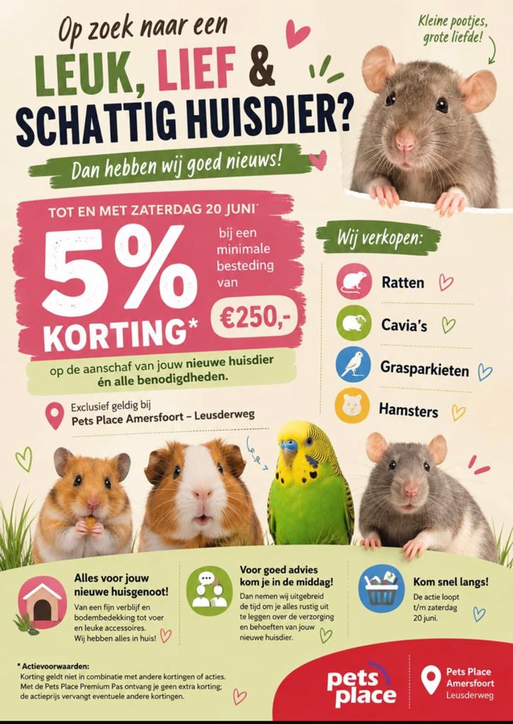 Op zoek naar een leuke grasparkietjes bekijk onze actie, Meerdere dieren, Parkiet