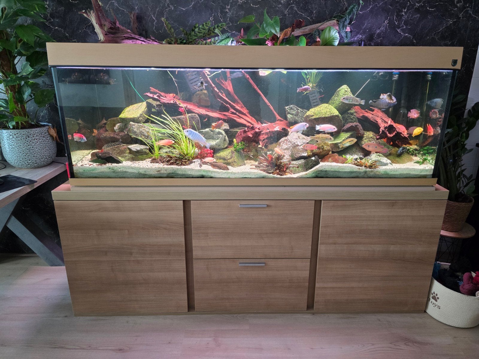 Groot aquarium, Ophalen, Zo goed als nieuw, Leeg aquarium