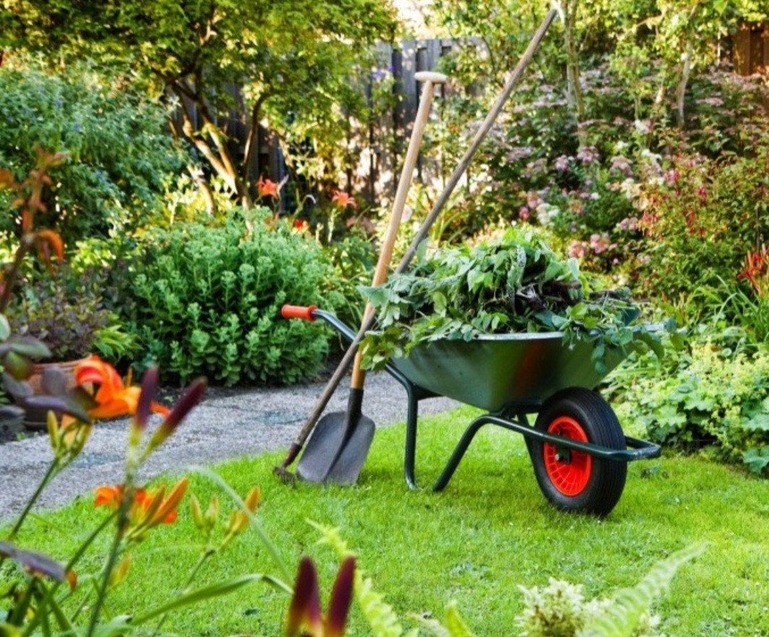Tuinman, Tuin en Terras, Ophalen, Gebruikt