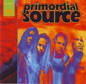 cd van Primordial Source – Primordial Source, Verzenden, Zo goed als nieuw, Jazz