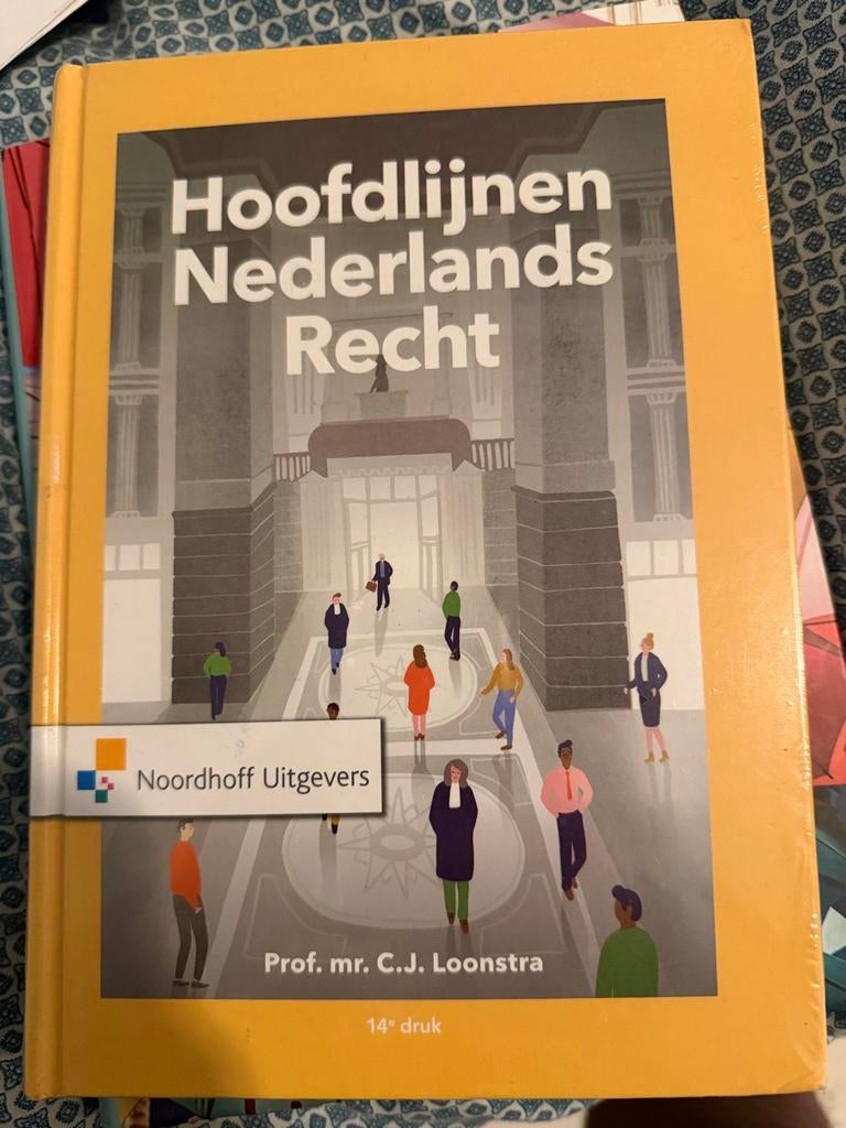 Hoofdlijnen Nederlands Recht - Prof. mr. C.J. Loonstra, Boeken, Studieboeken en Cursussen, Ophalen of Verzenden, Gamma, Zo goed als nieuw