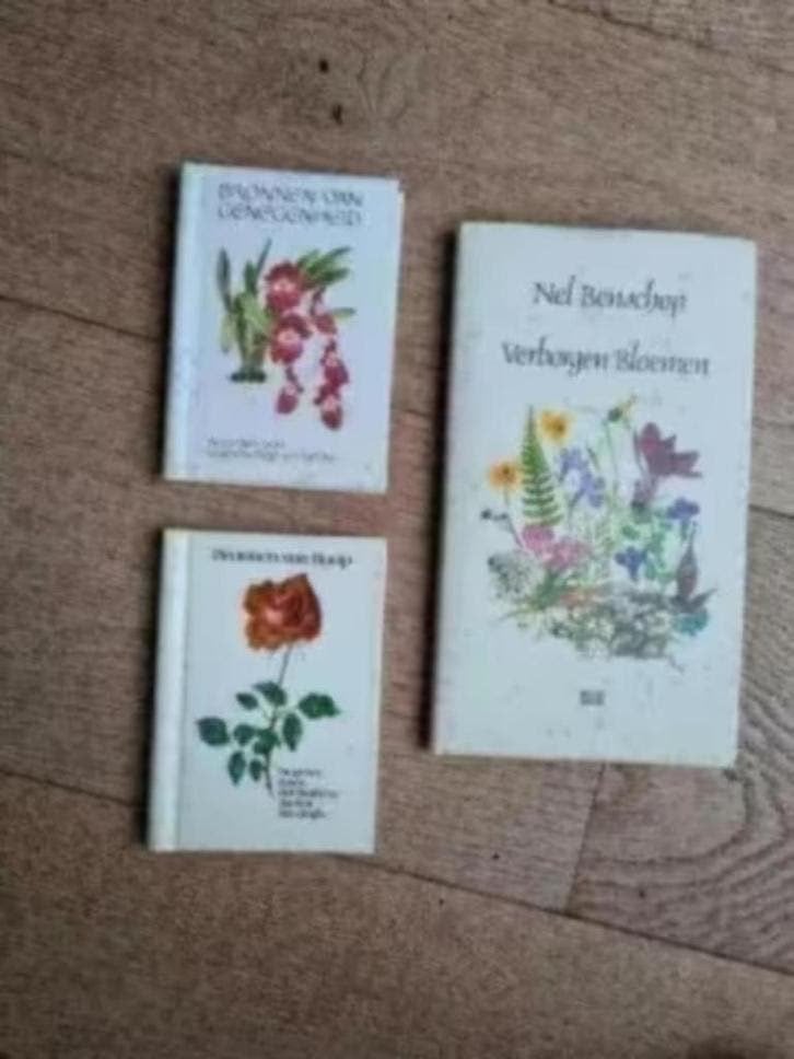 Poëzie boeken, Boeken, Gedichten en Poëzie, Ophalen of Verzenden, Zo goed als nieuw, Meerdere auteurs