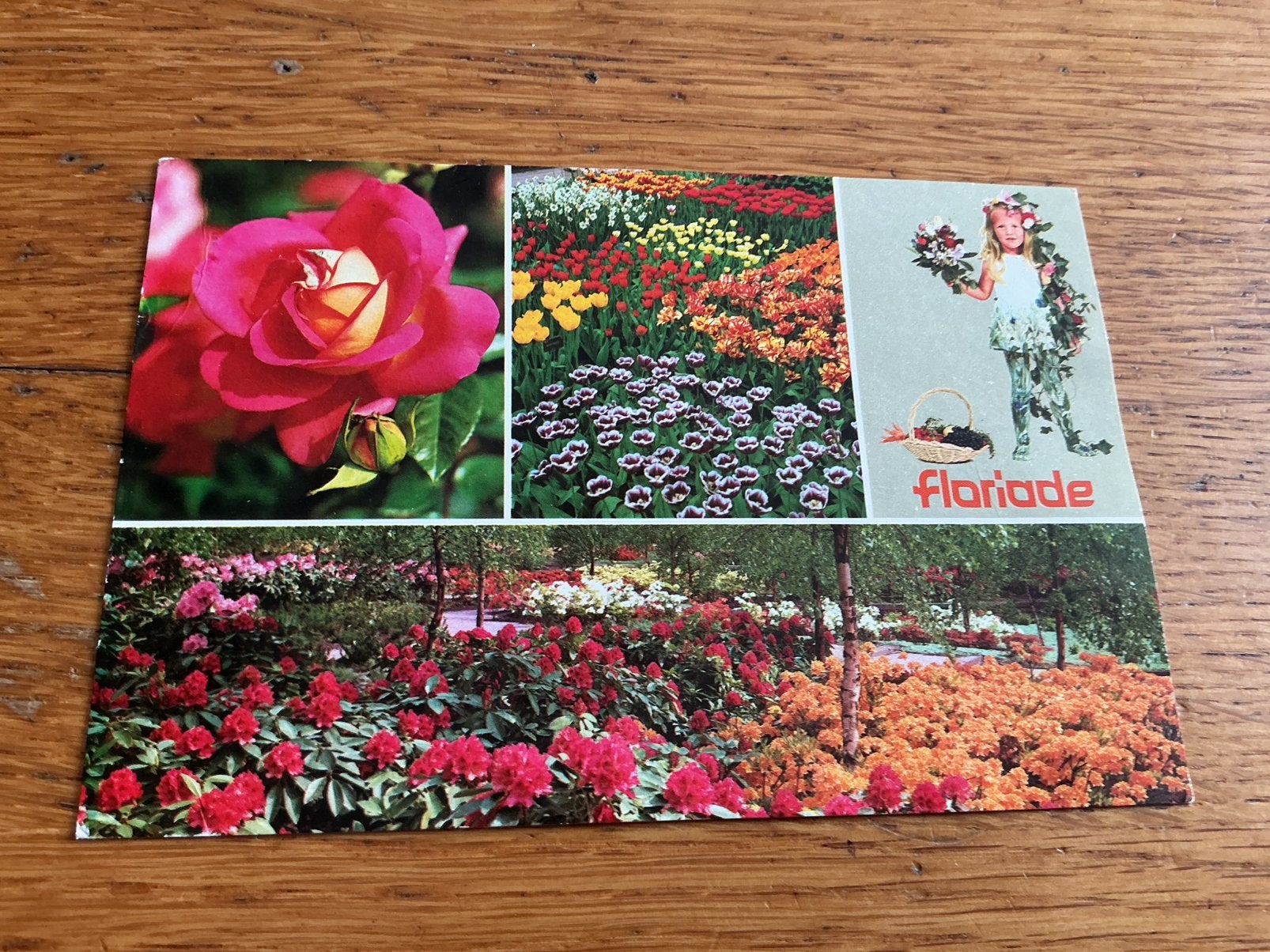 V566 Floriade, Ophalen of Verzenden