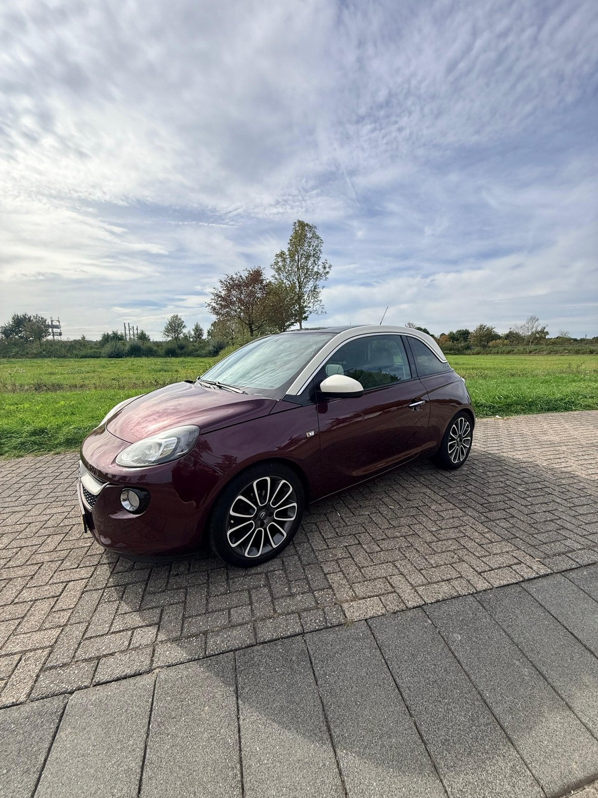 Opel ADAM 1.4 Ecoflex 64KW/87PK 3D Rood/Paars Panorama dak, Voorwielaandrijving, ADAM, 40 €/maand, 1398 cc