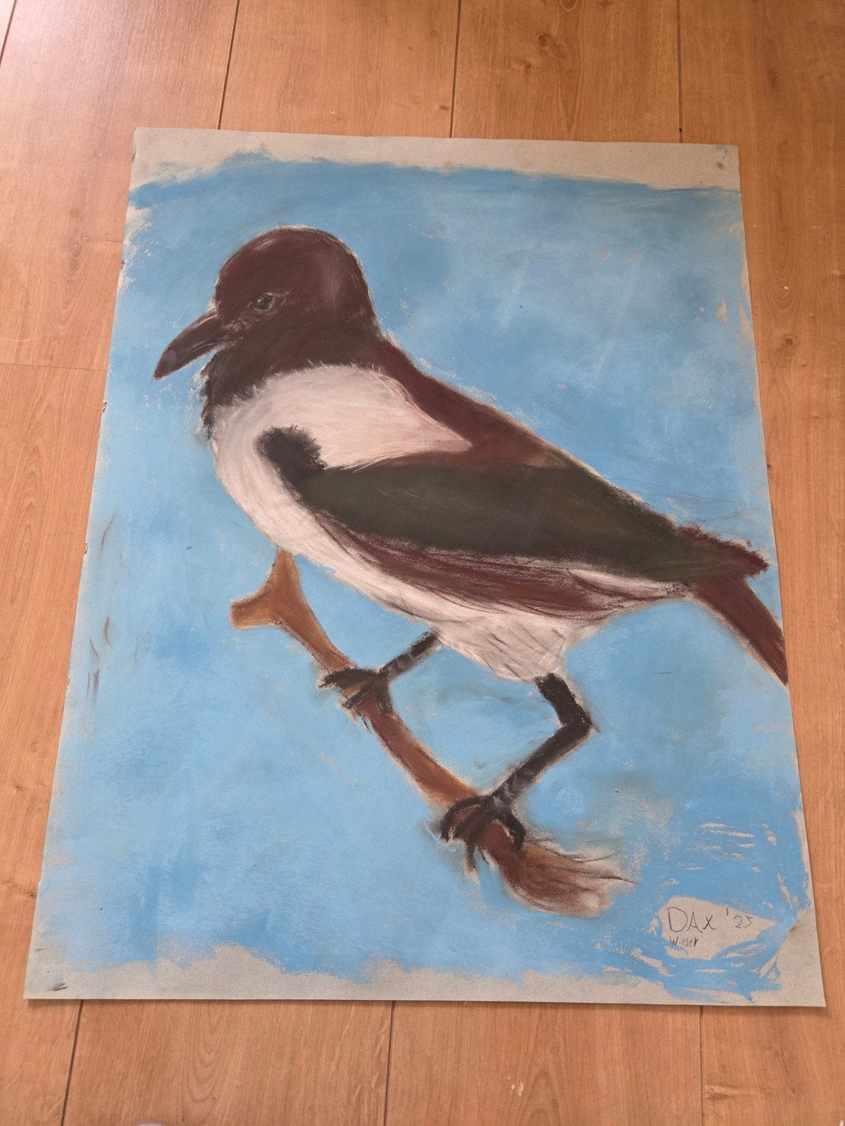 Uniek handgeschilderd kunstwerk: Ekster op tak, Ophalen of Verzenden