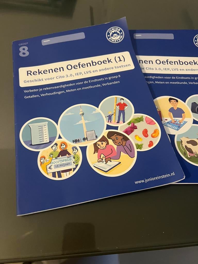 Cito groep 8, Ophalen of Verzenden, Zo goed als nieuw, Overige niveaus, Nederlands