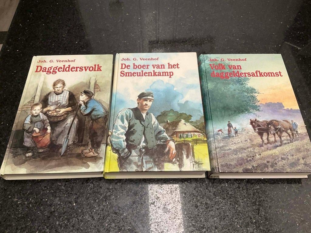 Joh. G. Veenhof: trilogie daggeldersvolk, Boeken, Romans, Gelezen, Nederland, Ophalen of Verzenden