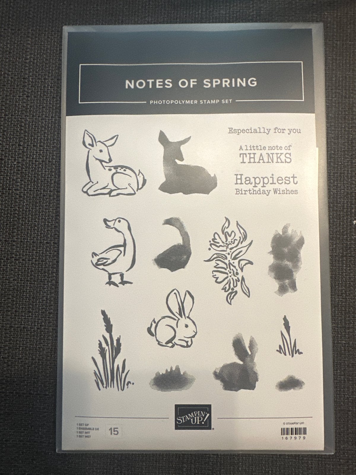 Stampin' Up! Notes of Spring Fotopolymeer Stempelset, Ophalen of Verzenden, Nieuw, Overige typen