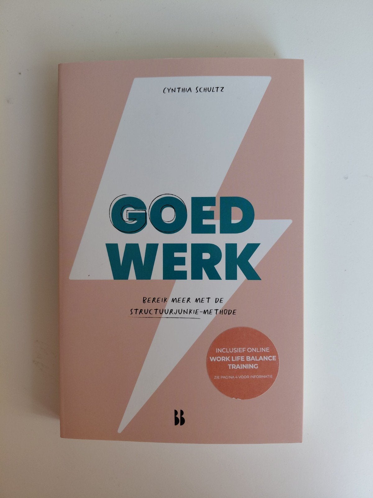 Cynthia Schultz - Goed werk, Sociale wetenschap, Ophalen of Verzenden, Zo goed als nieuw, Cynthia Schultz