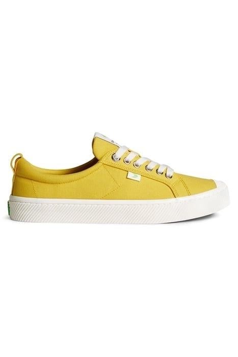 NIEUWE Canvas Sneakers / Gympen maat 45 Converse schoenen, Kleding | Heren, Schoenen, Overige kleuren, Nieuw, Ophalen of Verzenden