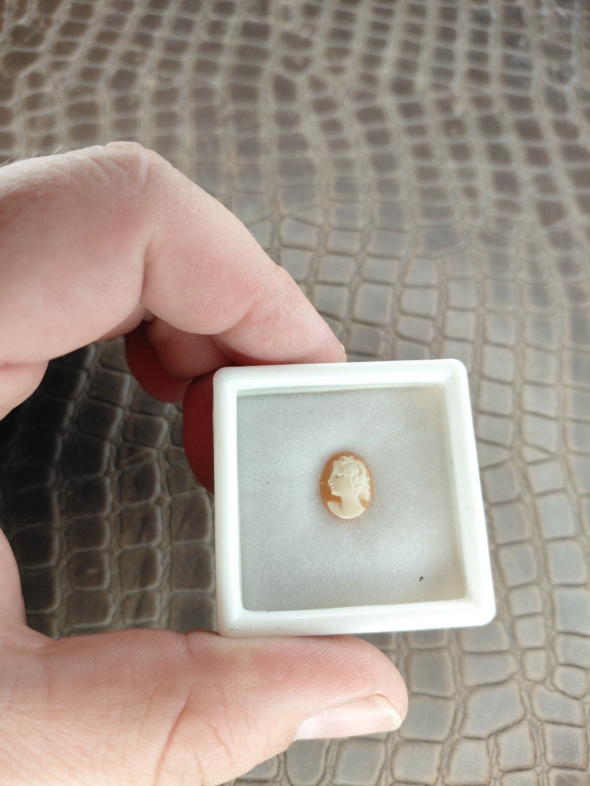 Kleine schelp camee, Ophalen of Verzenden
