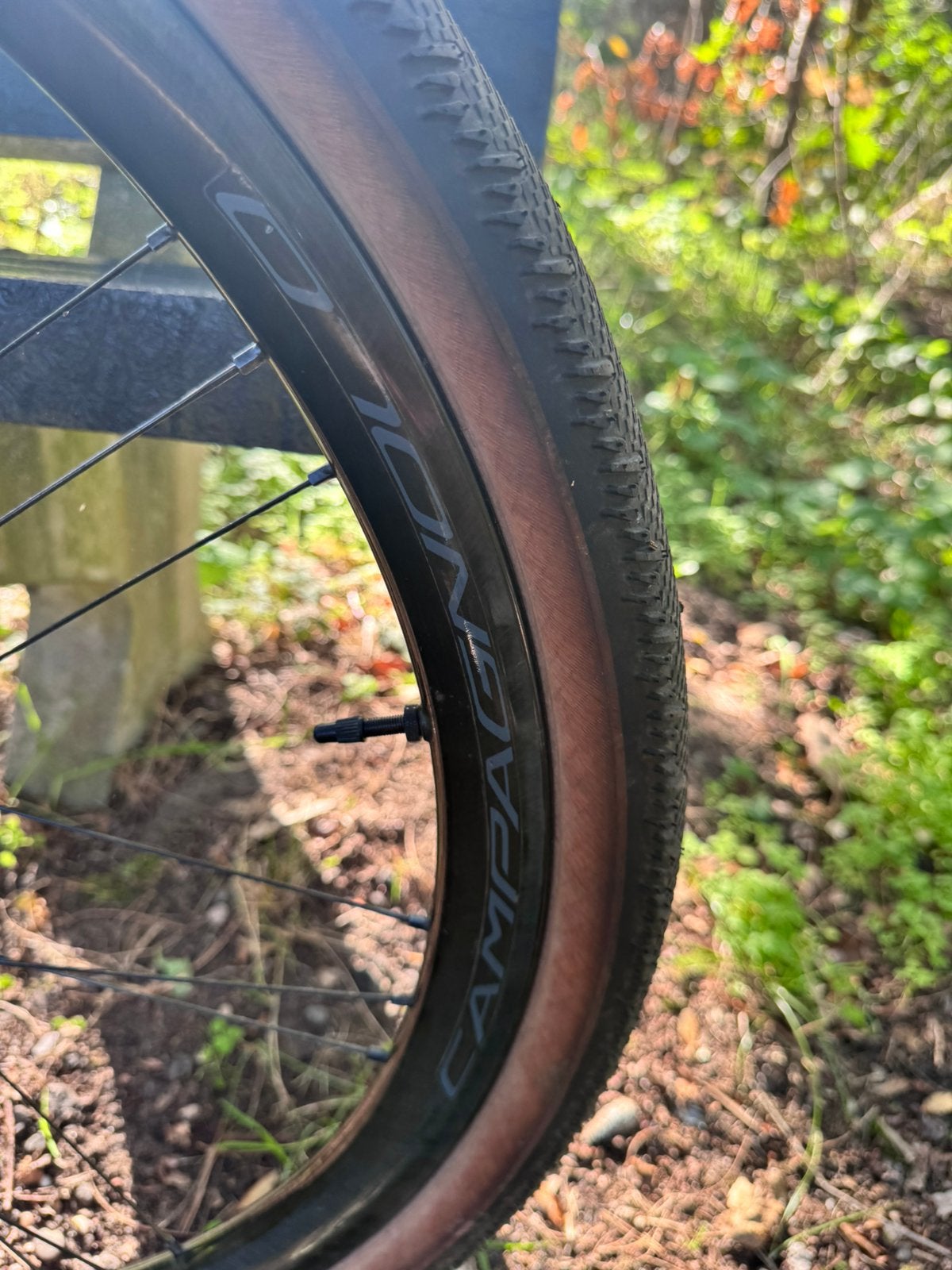 Foto 7 van Ridley Kanzo Fast