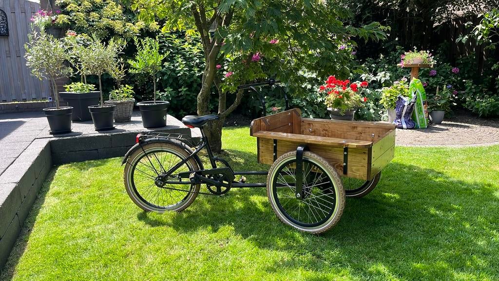 Junior bakfiets voor de jonge handelaar (8-12 jaar) 20 inch, Overige merken, Terugtraprem, Goederen, Ophalen of Verzenden