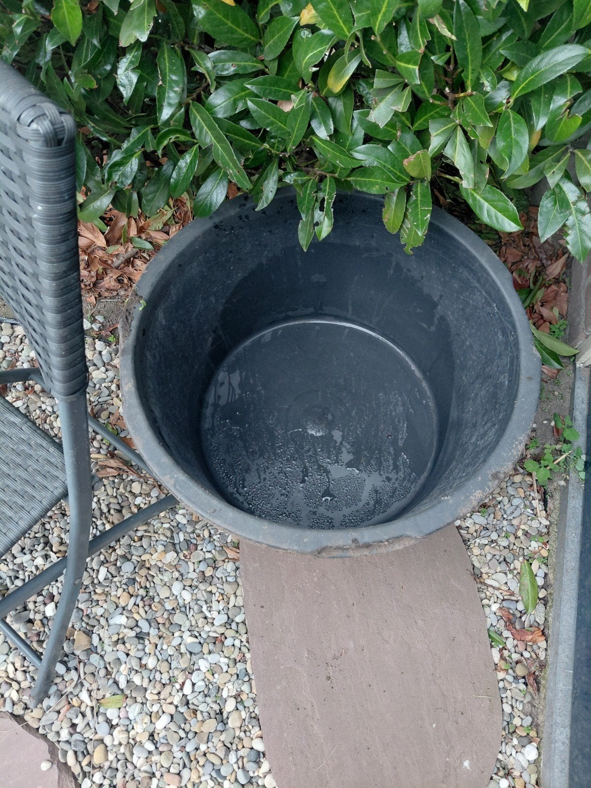 bak voor minivijver of planten, Ophalen, Rond, Kunststof, Minder dan 30 cm
