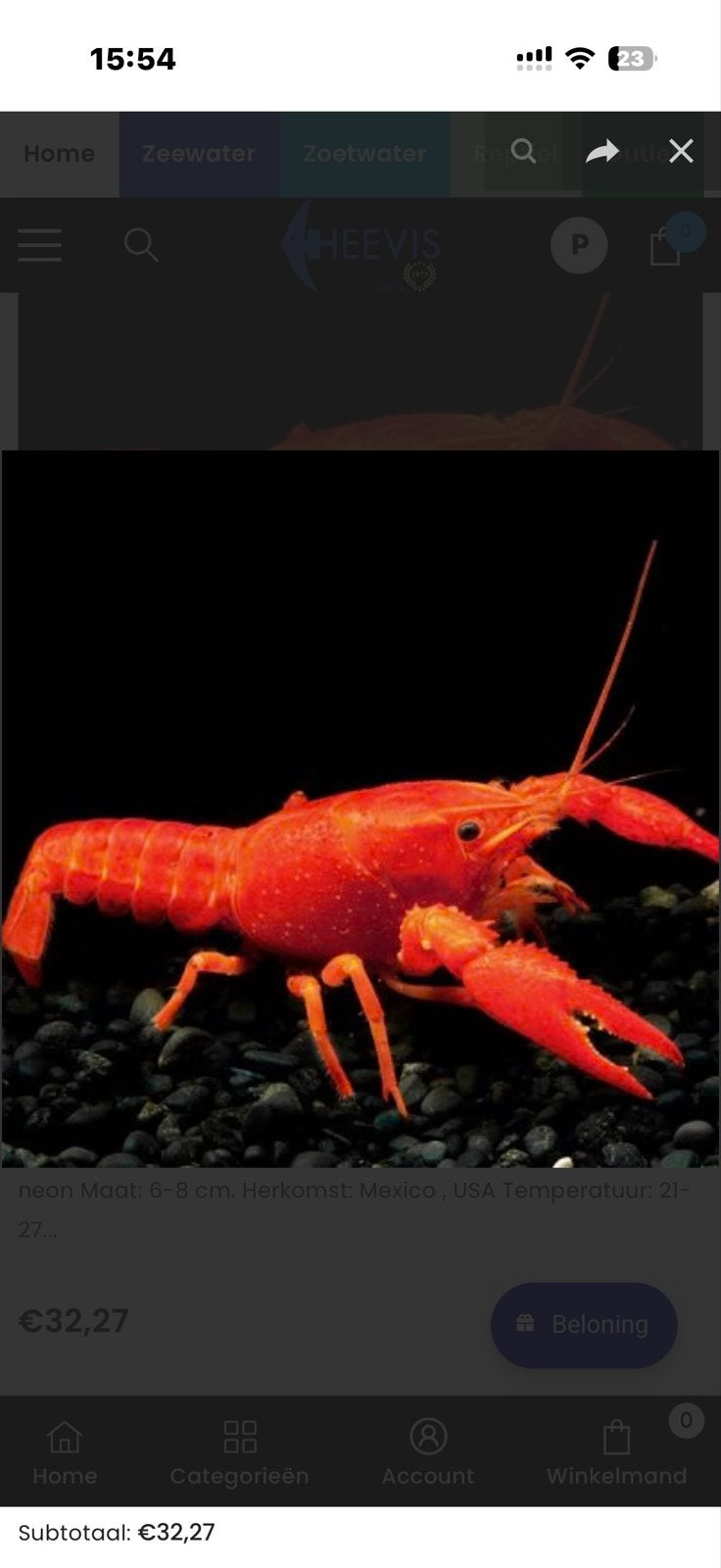 De Cherax lorentzi, ook wel bekend als de neon kreeft, Dieren en Toebehoren, Vissen | Aquariumvissen, Vis