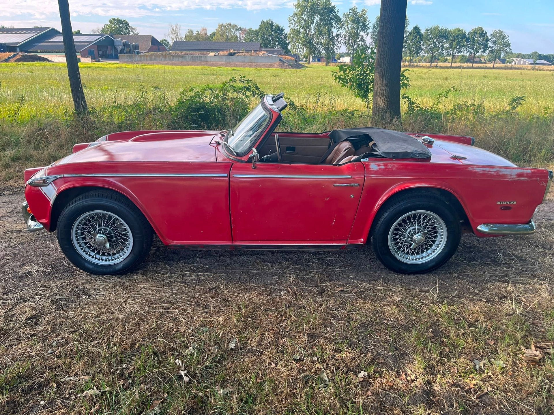 Triumph TR250 Gereviseerde motor, foto 6