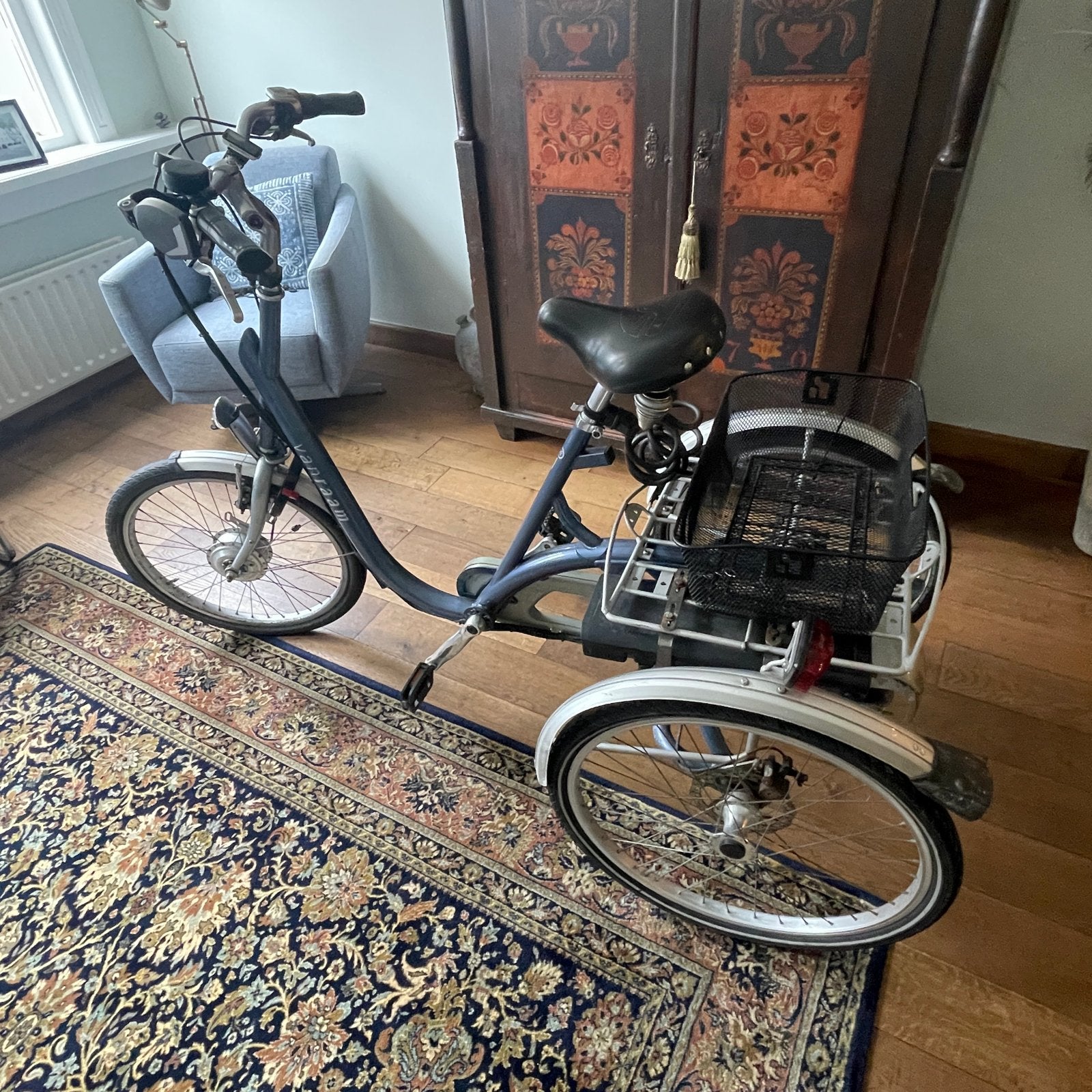 Van Raam Easy Rider driewieler e-bike, Fietsen en Brommers, Fietsen | Driewielfietsen, Ophalen, Gebruikt, Velgrem