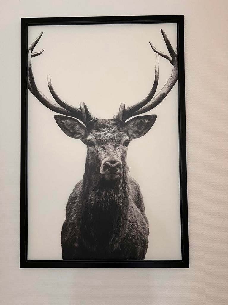 Wanddecoratie Hert, Ophalen, Schilderij, Zwart, Zo goed als nieuw