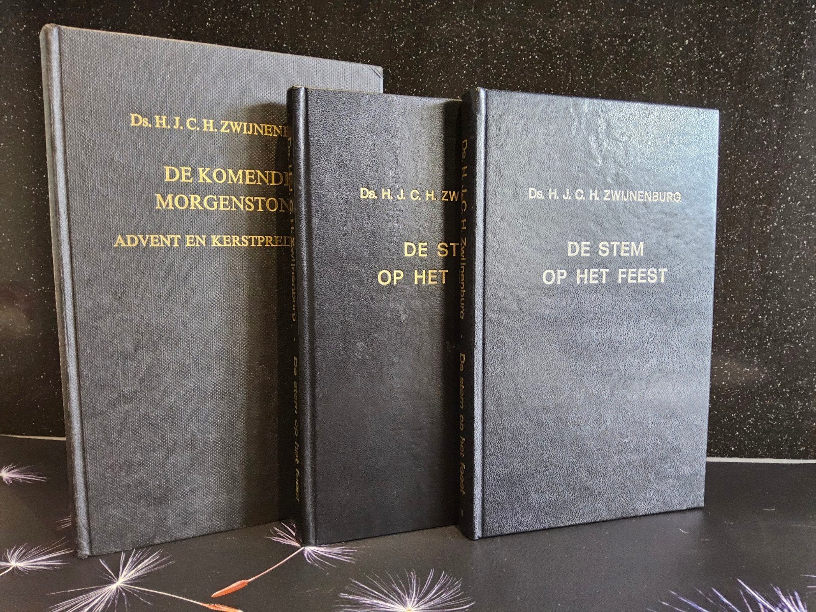 Predikaties van Ds. H.J.C.H. Zwijnenburg, Ophalen of Verzenden, Gelezen, H.J.C.H. Zwijnenburg, Christendom | Protestants