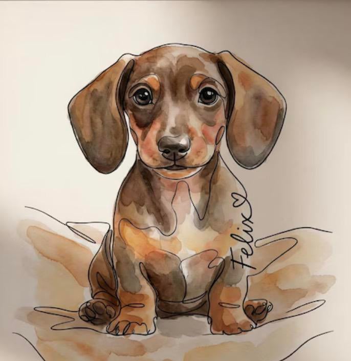 Kleine hondje gezocht---gratis, 6 jaar of ouder, Parvo, Eén hond, Nederland