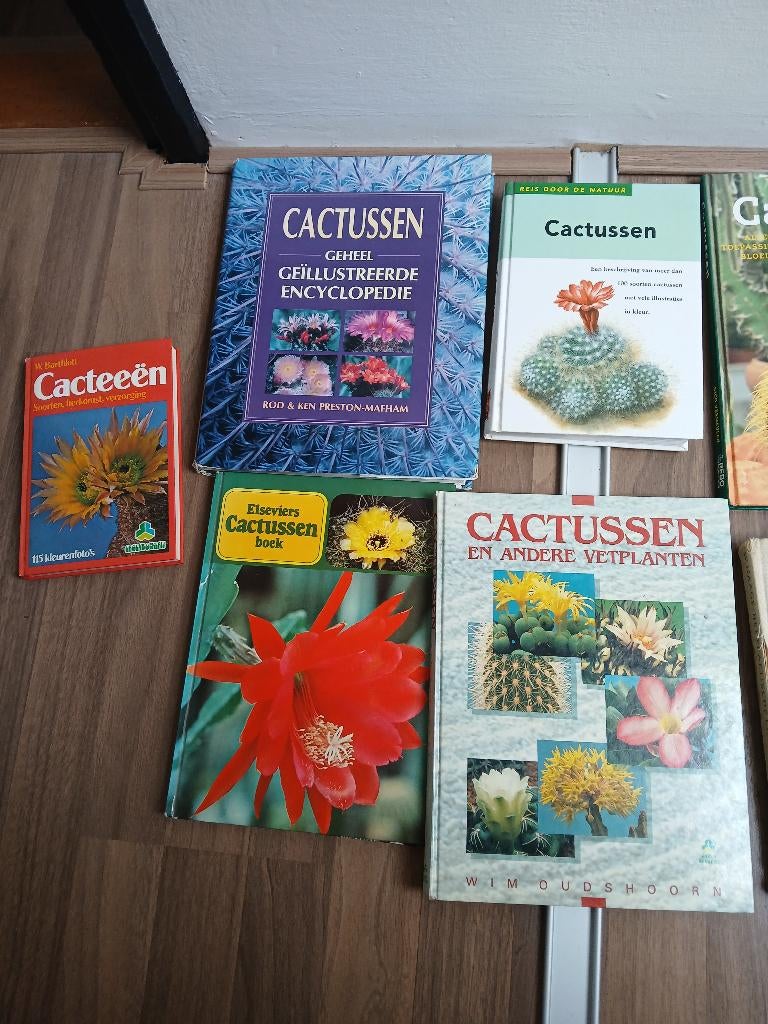 Cactus boeken, Gelezen, Non-fictie, Diverse auteurs, Ophalen of Verzenden