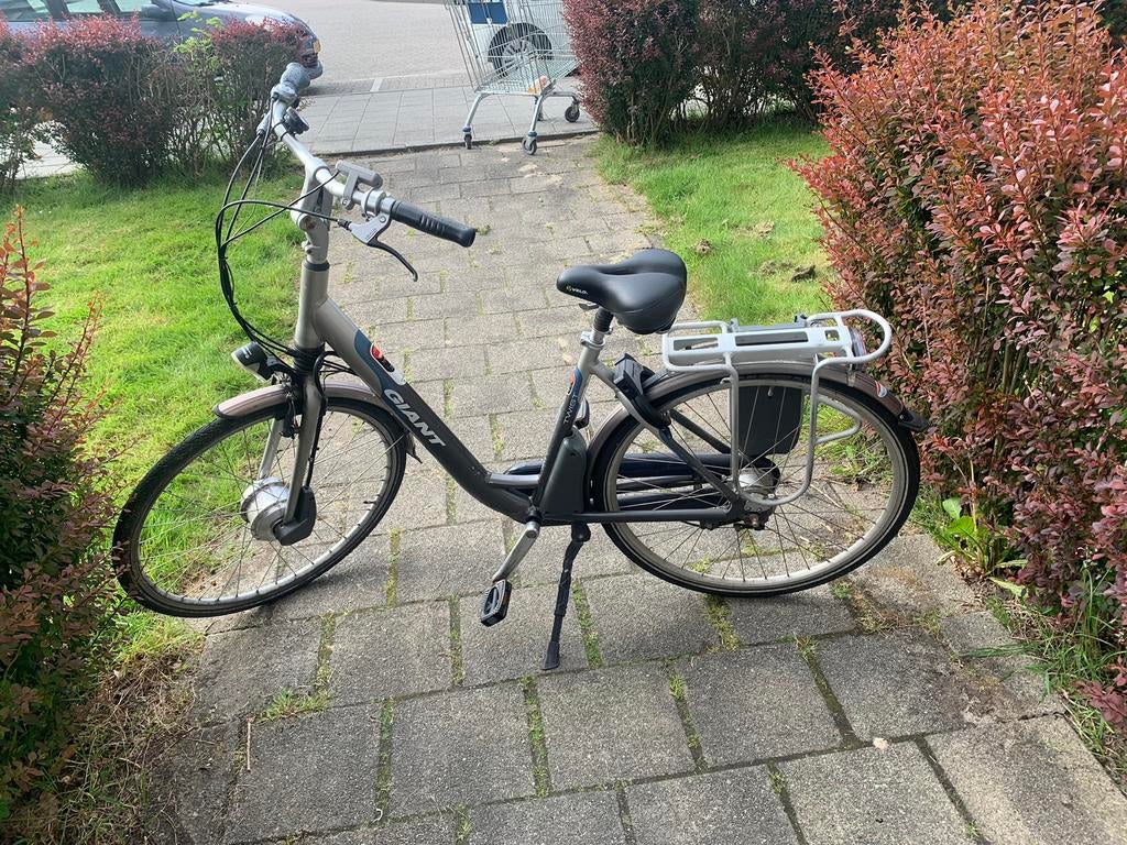 Giant Twist - Elektrische Fiets, Fietsen en Brommers, Ophalen, Gebruikt, Minder dan 30 km per accu, Giant