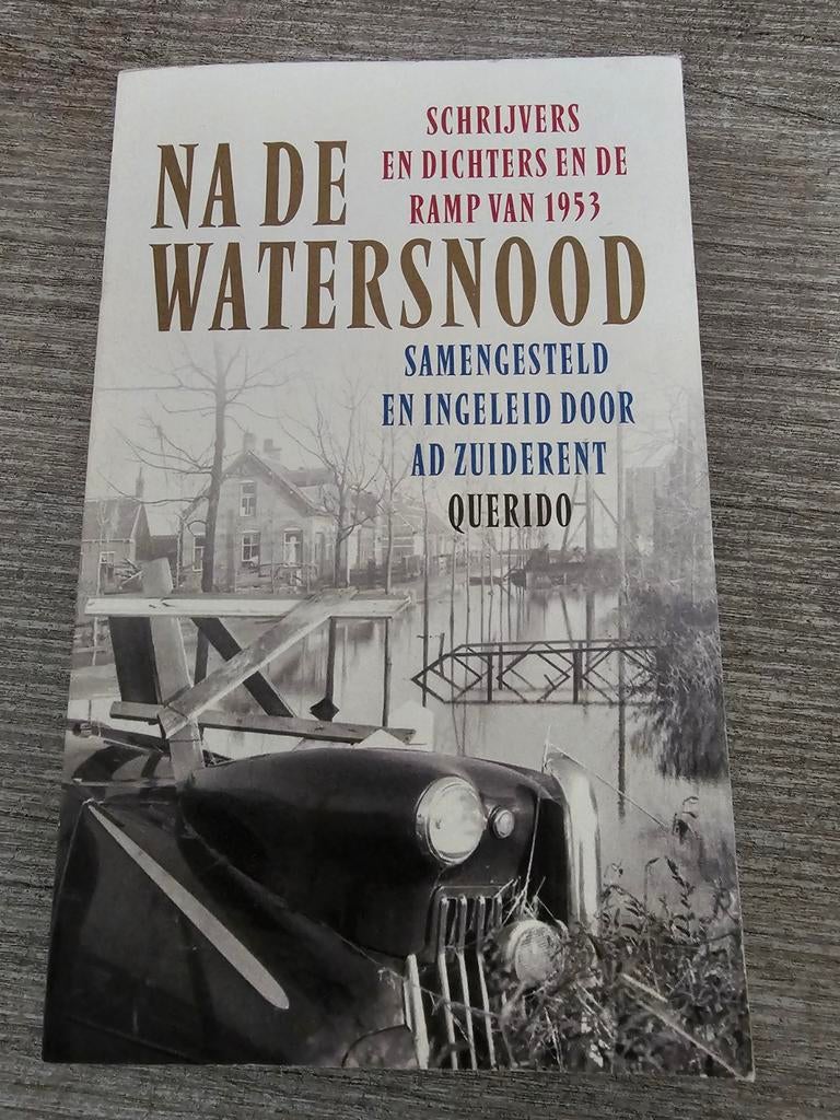 Na de Watersnood: Schrijvers en Dichters en de Ramp van 1953, Ophalen of Verzenden, Gelezen