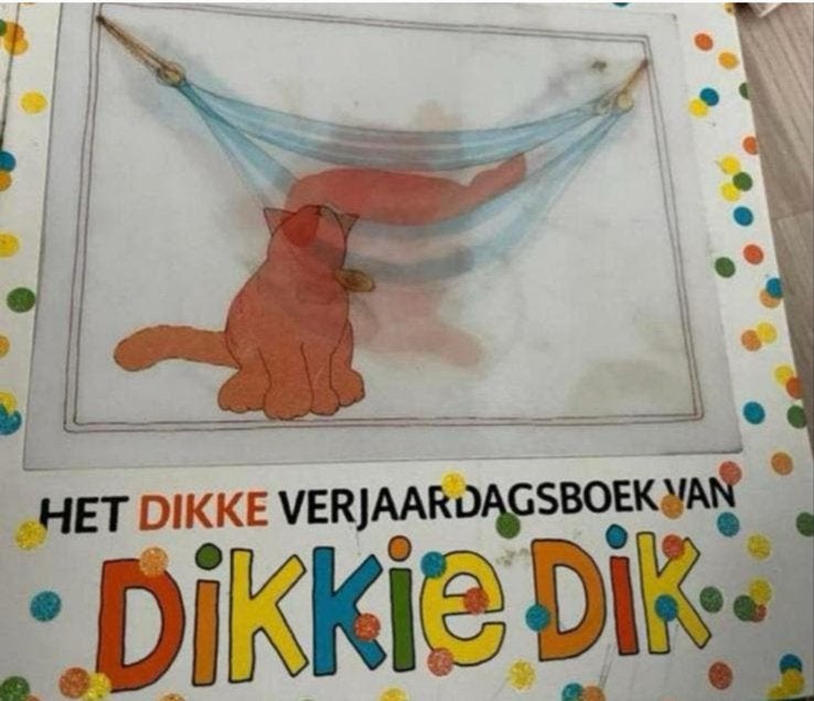 HET DIKKE VERJAARDAGSBOEK VAN DIKKIEDIK Hardback, Ophalen of Verzenden, Gelezen