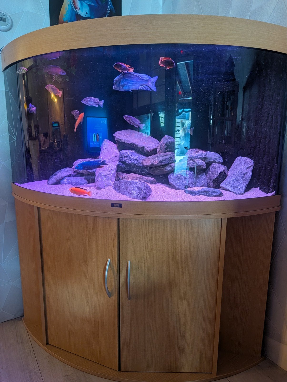 aquarium juwel trigon 350, Ophalen, Leeg aquarium