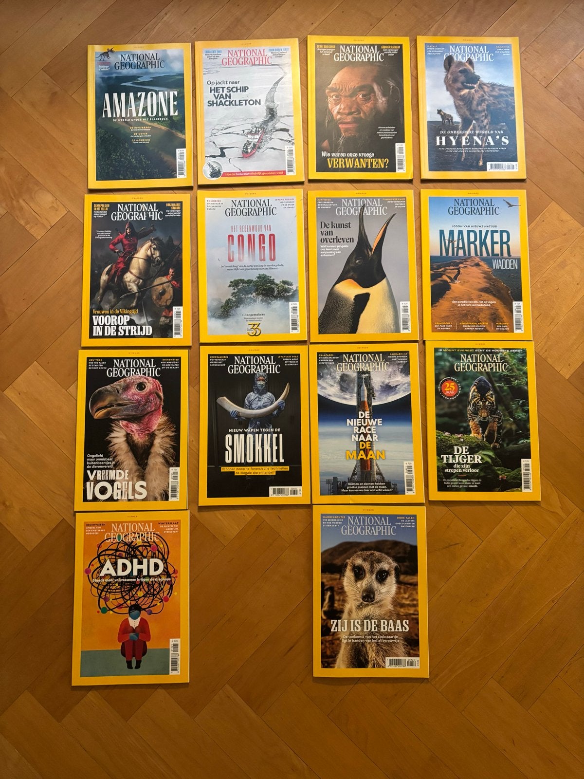 14 National Geographic Tijdschriften - Diverse Uitgaven, Ophalen of Verzenden, Zo goed als nieuw, Wetenschap en Natuur