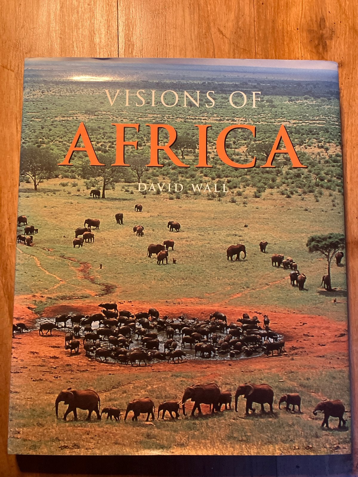Visions of Africa - David Wall (Natuur, Dieren), Ophalen of Verzenden, Zo goed als nieuw, Natuur algemeen