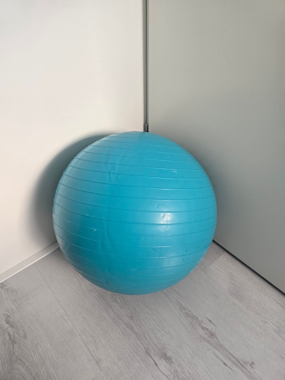 Fitnessbal - Skipbal, Ophalen, Gebruikt, Buik, Fitnessbal