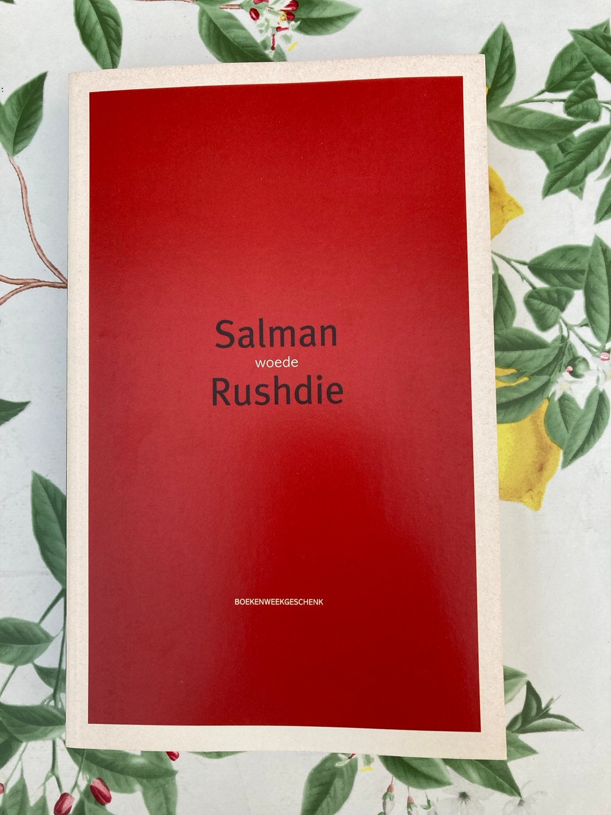 Bb Salman Rushdie - Woede, Ophalen of Verzenden, Zo goed als nieuw, Salman Rushdie